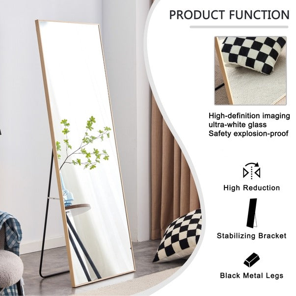 Solid Wood Frame Full-Length Floor Dressing Mirror 65"x23